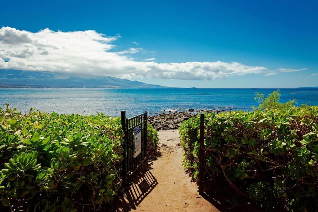 Stunning Maui Direct Ocean Front On The Beach, Walk To Beach From Condo, Watch Turtles, Whales, Ac In All Rooms Ocean View Pool And Spa Wailuku Exteriör bild